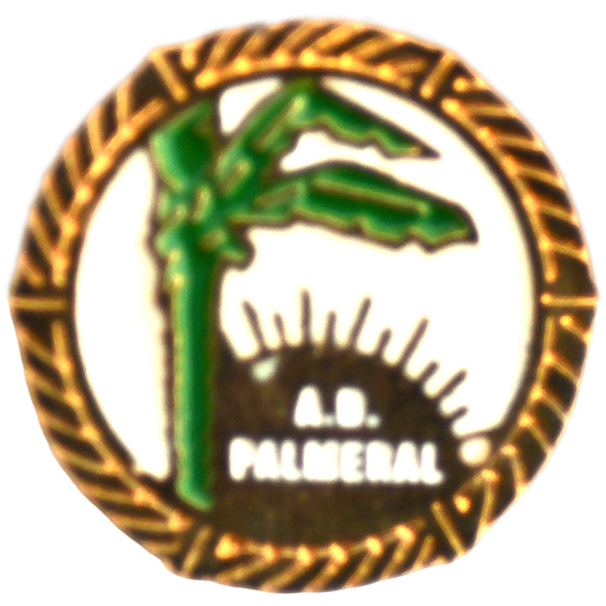 Asociación Deportiva Palmeral