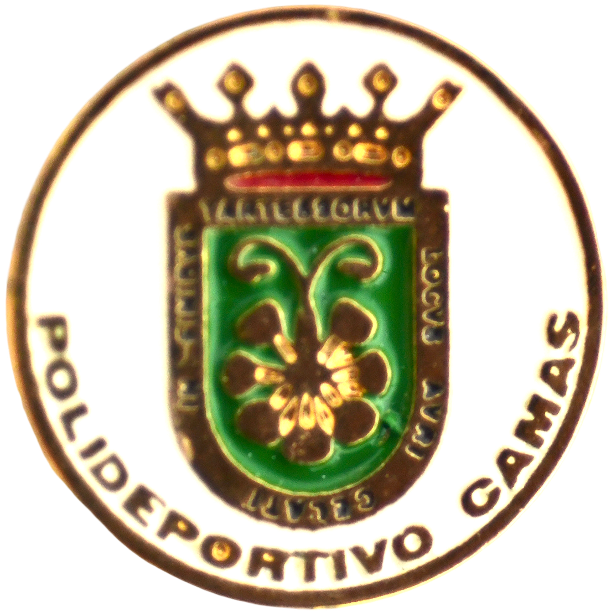 Polideportivo Camas