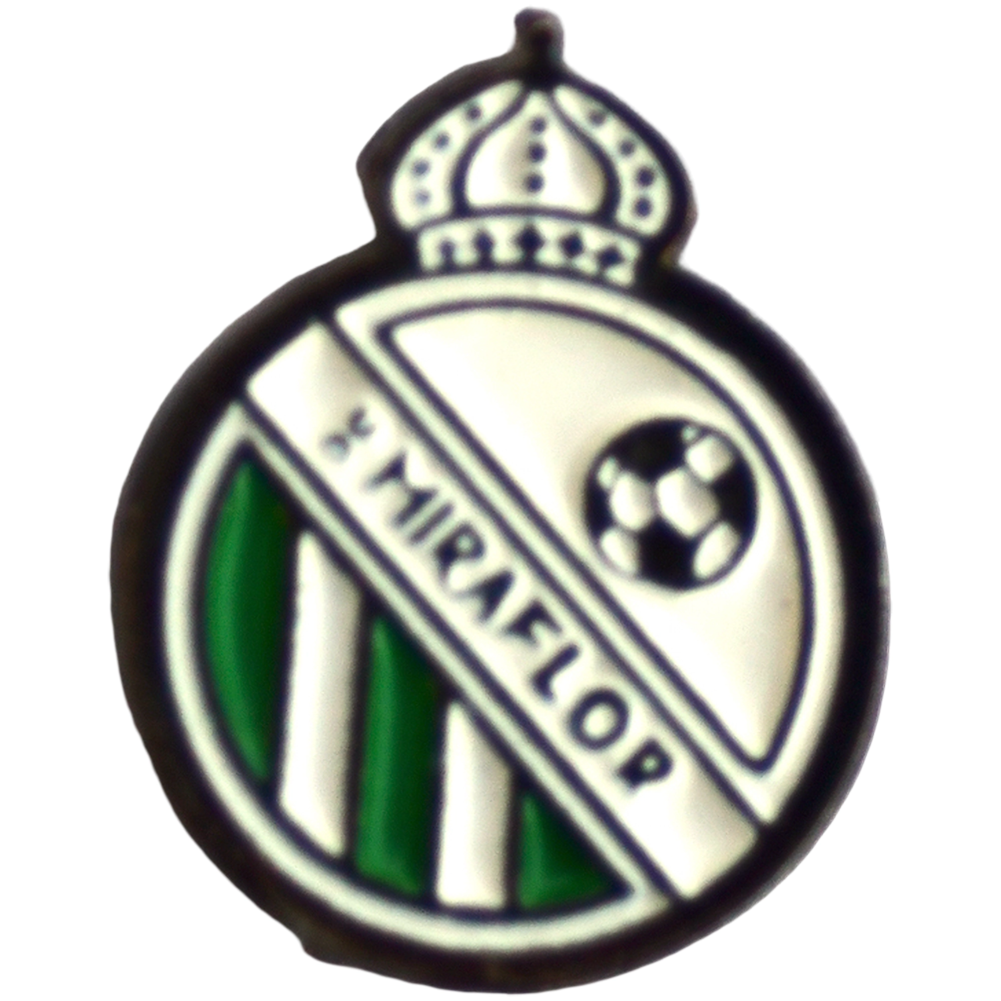 Unión Deportiva Miraflor