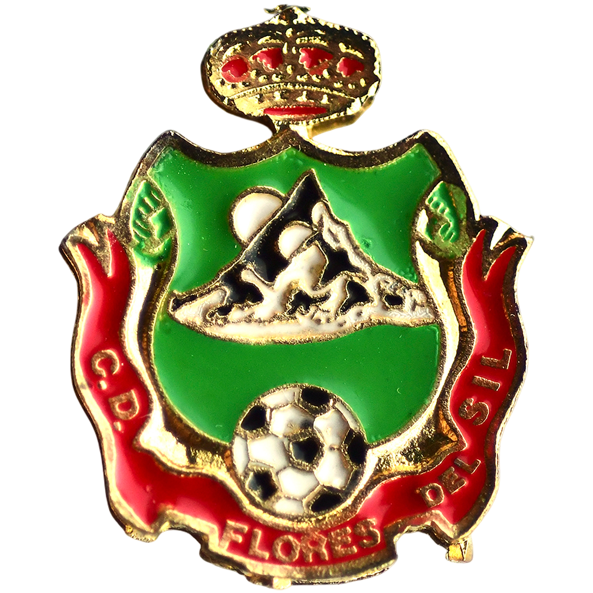 Club Deportivo Flores de Sil