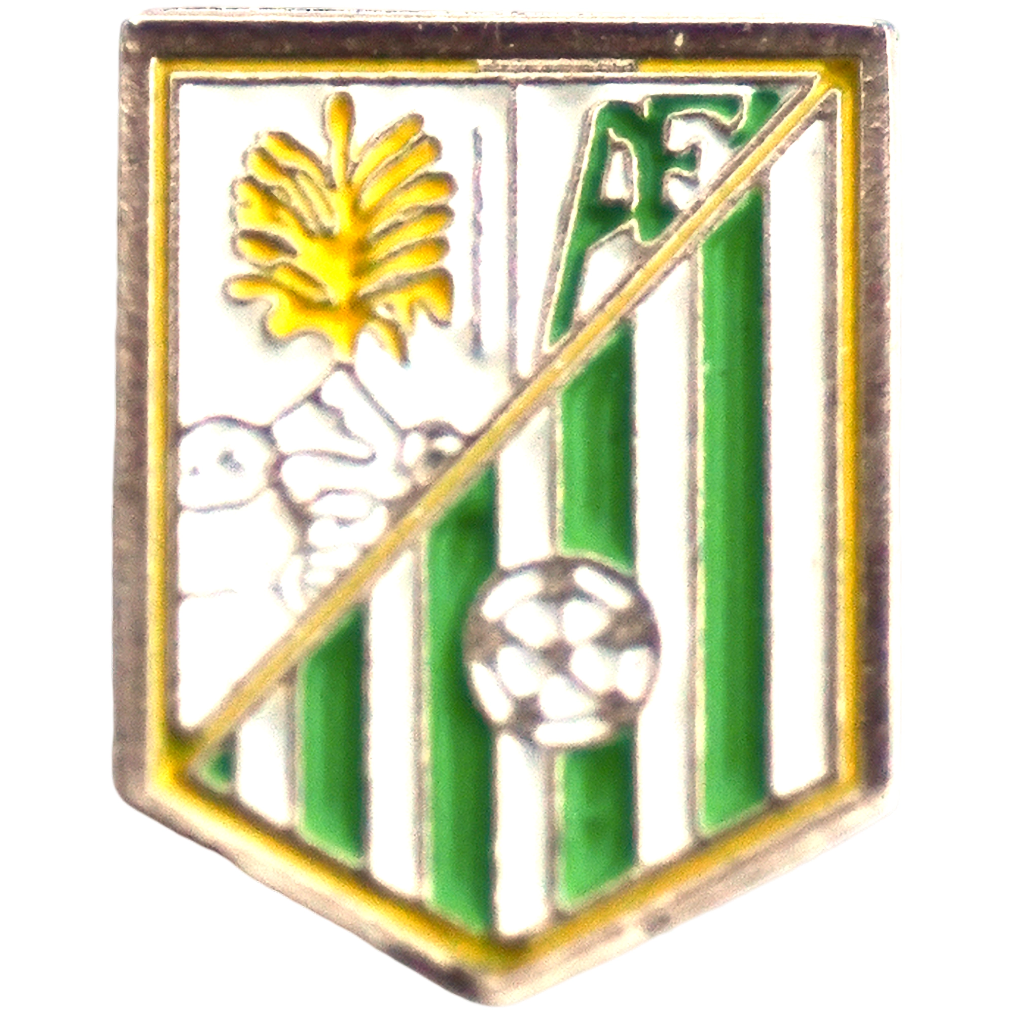 Atlético Forcarey
