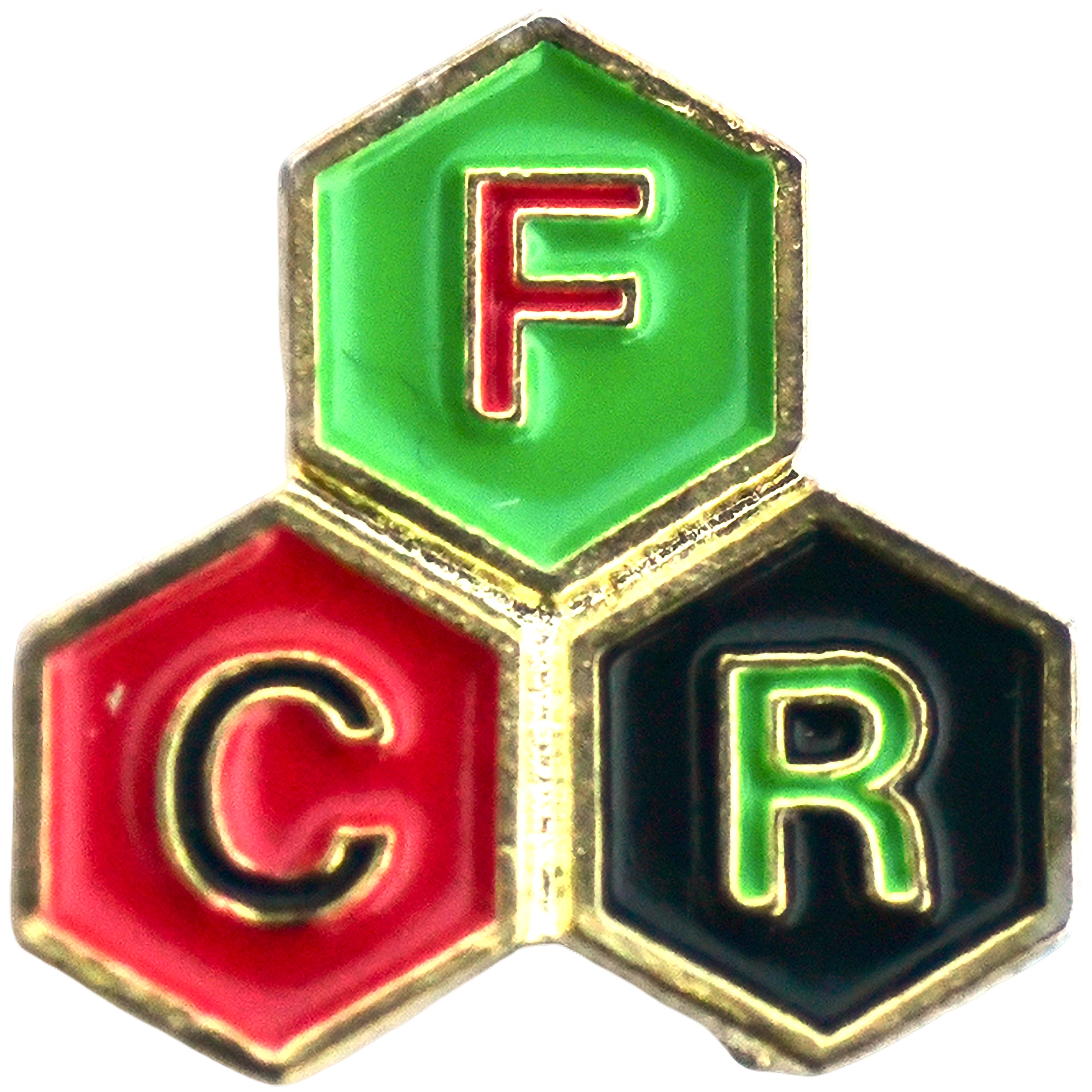 Club de Fútbol Riestna