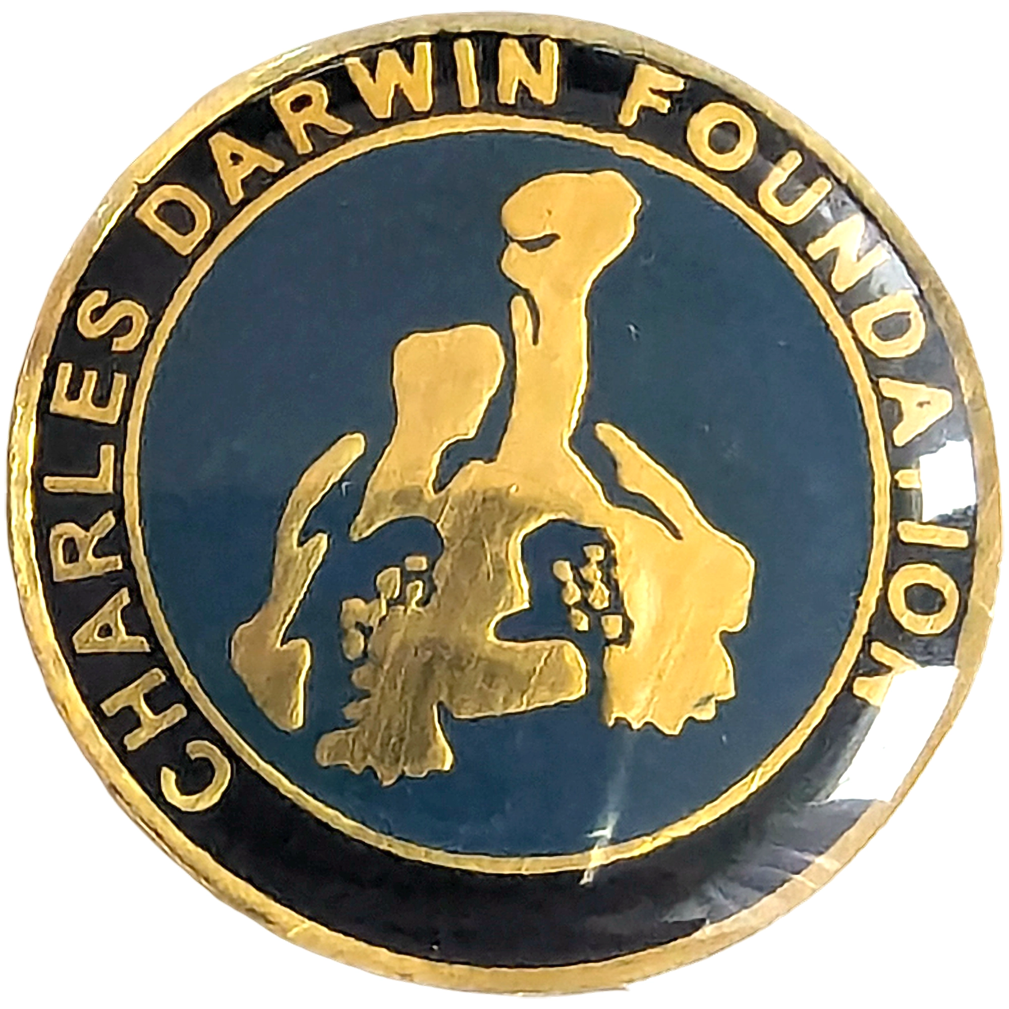 Fundación Charles Darwin