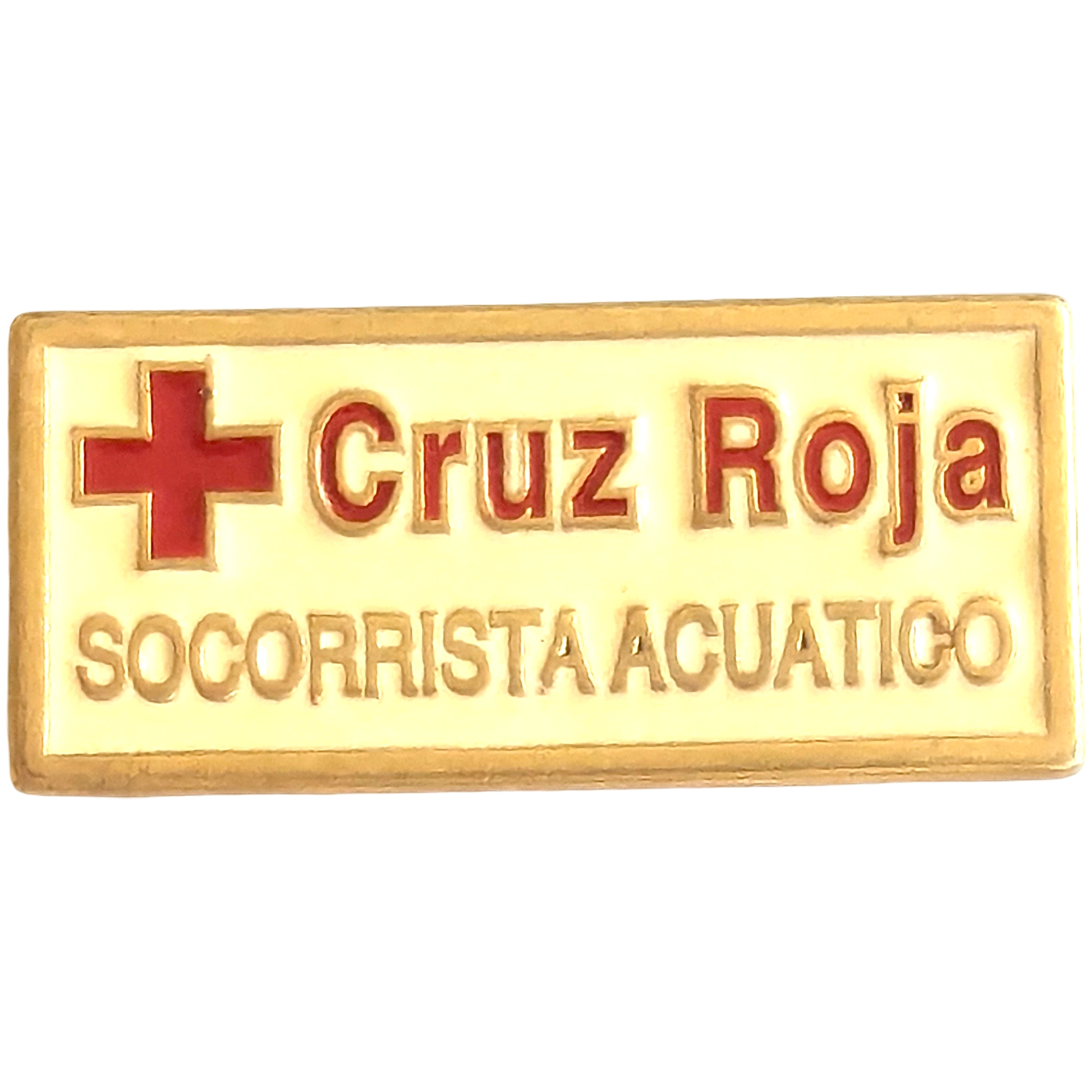 Socorrista Acuático