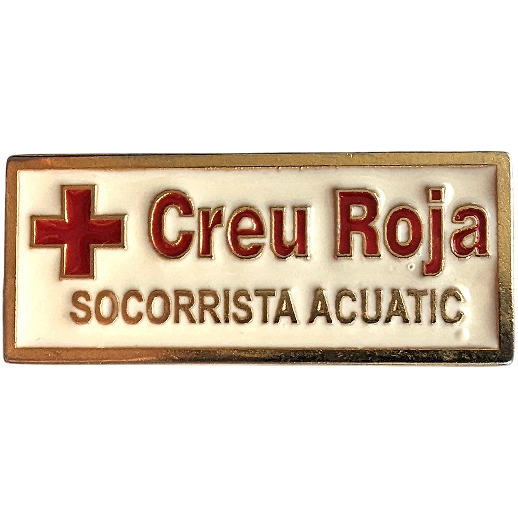 Socorrista Acuatic